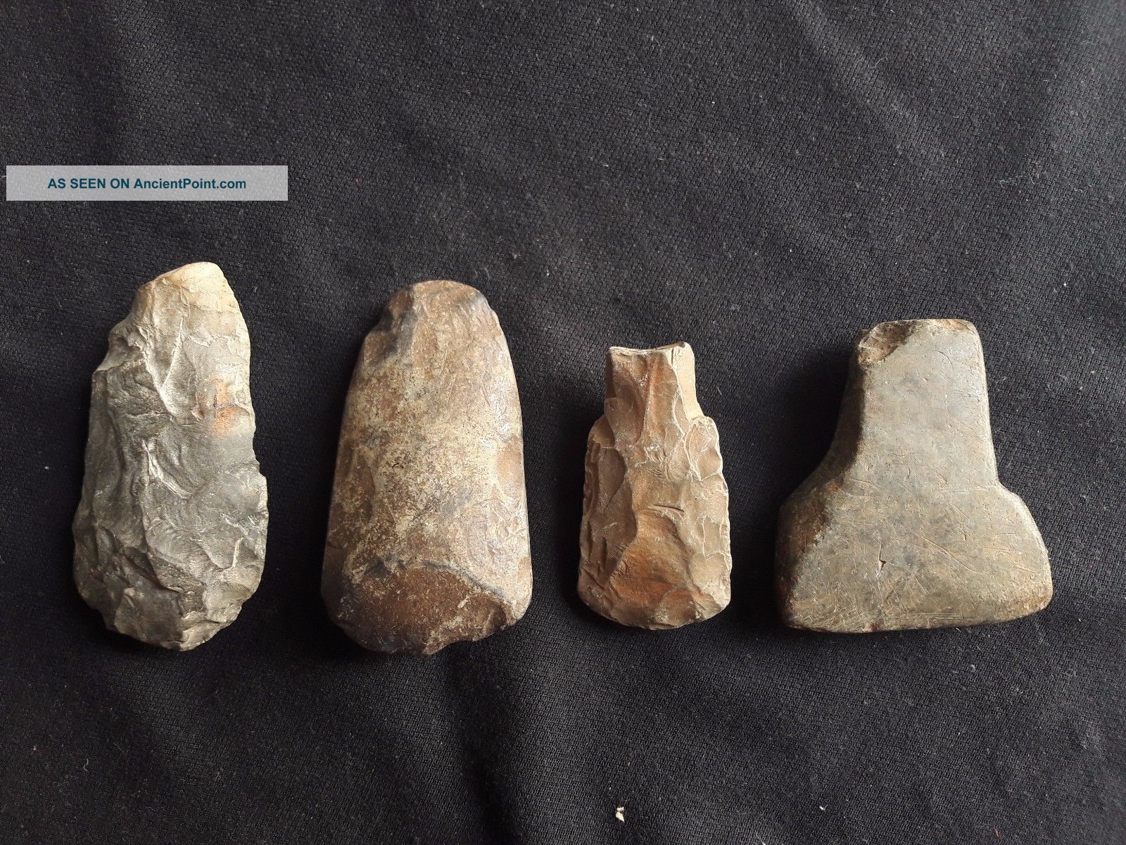Special Price 4 X Thailand Polish Adze Neolithic Hand Ax Celt [tm51] Neolithic & Paleolithic photo