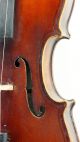 Very Good Antique Violin By Eduard Reichart 1913,  Maggini Model, String photo 3