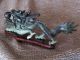 Old Chinese Carved Stone Dragon On Redwood Stand …beautiful Jade Green Other Asian Antiques photo 4