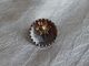Antique Vintage Steel Cup Button With Cut Steel Sun Flower 926 - A Buttons photo 1
