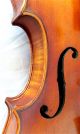 Fine 4/4 Old German Amati Violin Klotz Antique Tiger Wood 小提琴 СКРИПКА Geige String photo 3