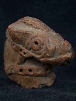 Ancient Teracotta Horse Head Indus Valley 800 Bc Tr631 photo