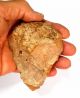 166 Gram Acheulean Flint Hand Axe Neanderthal Paleolithic Tool Neolithic & Paleolithic photo 2