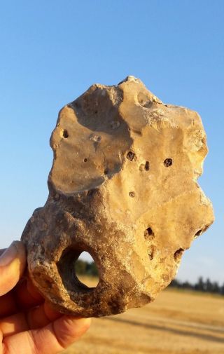 670 Gram Acheulean Flint Stone Semi Tool,  Tool Left Unfinished,  Hanging Handle photo