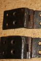 Antique Wrought Iron Hinges For Old Pine/oak Blanket Box/chest/trunk 1800-1899 photo 5