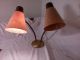 Vintage Mid Century Modern Table Lamp Fiberglass Cone Shades Double Goose Neck Mid-Century Modernism photo 1