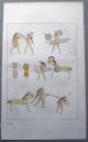 1842 G.  Catlin Handcol Engraving Native American Indians Wall Paintings Native American photo 1