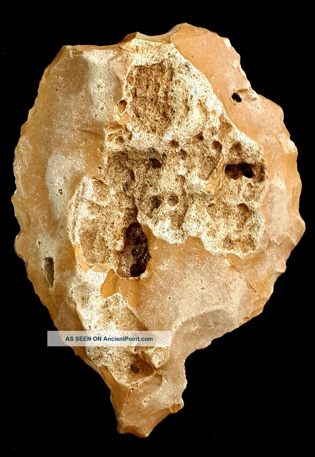 187 Gram Flint Slim Hand Axe Neanderthal Paleolithic Nosed Tool Acheulean Neolithic & Paleolithic photo
