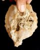 187 Gram Flint Slim Hand Axe Neanderthal Paleolithic Nosed Tool Acheulean Neolithic & Paleolithic photo 4