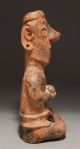 A Large Pre - Columbian Nayarit Seated Figure Of A Ballplayer,  Circa 100 Bc - Ad 250 The Americas photo 6