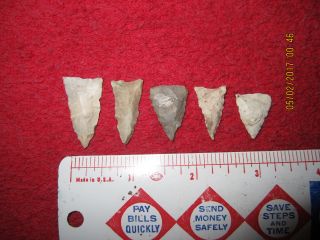 5 Assorted Styles & Materials Triangular Arrowheads (burlington,  Wisconsin) photo