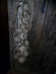Primitive Gourd Garland Cluster,  Extra Long,  Early Look Homestead Dried W/raffia Primitives photo 2