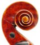 Fine,  Antique Giuseppe Zanetti 4/4 Old Italian Master Violin - Geige,  Fiddle 小提琴 String photo 5