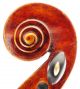 Fine,  Antique Giuseppe Zanetti 4/4 Old Italian Master Violin - Geige,  Fiddle 小提琴 String photo 7