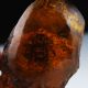 100 Natural Amber Statue W Cicada Rm0137 Other Antique Chinese Statues photo 1