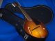 Vintage Harmony Mandolin Org.  Case.  Gibson String Made In U.  S.  A String photo 10