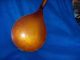 Vintage Harmony Mandolin Org.  Case.  Gibson String Made In U.  S.  A String photo 5