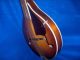 Vintage Harmony Mandolin Org.  Case.  Gibson String Made In U.  S.  A String photo 8
