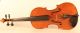 Old Italian Violin Lab.  Sacconi 1925 Geige Violon Violino Violine Viola Viool String photo 1