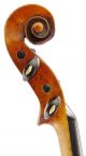 Rare,  Antique Italian Old 4/4 Amati Style Master Violin - Geige,  Fiddle 小提琴 String photo 3