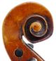 Rare,  Antique Italian Old 4/4 Amati Style Master Violin - Geige,  Fiddle 小提琴 String photo 4