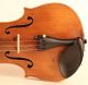 Old Italian Violin Geige Violino F.  Gagliano 1758 小提琴 Cello Violon バイオリン 바이올린 String photo 3