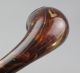 Antique Ear Trumpet - Faux Tortoise Shell - Marked Clarvox Paris - Late 19th C. Other Medical Antiques photo 3