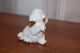 Capodimonte Porcelain Dog Figurine - White With Gold Trim And Crystal Eyes Figurines photo 3