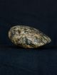 Rare Saharian Neolithic - Granite Axe - 48 Mm Long Neolithic & Paleolithic photo 2