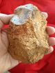 Vintage Mojave Desert California Artifact Paleolithic Handaxe Chopper Stone Tool Neolithic & Paleolithic photo 1