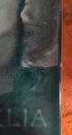 C1885 J.  G & J.  F.  Low Aesthetic Movement Cordelia Portrait Tile King Lear Tiles photo 5
