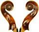 Antique Violin By Eduard Reichart,  Maggini Model, String photo 1