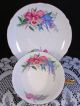 Shelley Pastel Blue Pink Iris Floral Gold Tea Cup And Saucer Cups & Saucers photo 1
