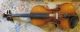 Albert Knorr 4/4 Violin,  Vg Cond.  1930s W Bow And Case - Nr String photo 1
