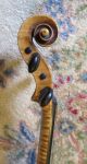 Albert Knorr 4/4 Violin,  Vg Cond.  1930s W Bow And Case - Nr String photo 2