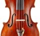 Italian,  Antique Natale Novelli Old 4/4 Master Violin - Geige,  Fiddle 小提琴 String photo 2
