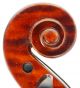 Italian,  Antique Natale Novelli Old 4/4 Master Violin - Geige,  Fiddle 小提琴 String photo 3