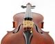 Italian,  Antique Natale Novelli Old 4/4 Master Violin - Geige,  Fiddle 小提琴 String photo 5