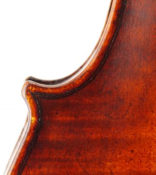 Antique Pietro Natale 4/4 Old Master Violin - Ready To Play - Fiddle,  Geige photo