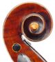 Antique Pietro Natale 4/4 Old Master Violin - Ready To Play - Fiddle,  Geige String photo 4