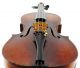 Antique Pietro Natale 4/4 Old Master Violin - Ready To Play - Fiddle,  Geige String photo 8