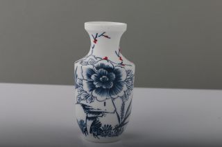 Exquisite Chinese Painting Flower Porcelain Vase J812 photo