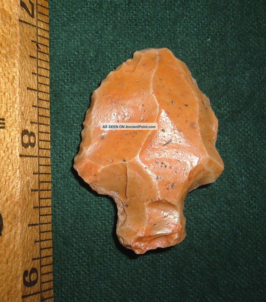 Select Aterian Early Man Point (30k - 80k Bp) Prehistoric African Artifact Neolithic & Paleolithic photo