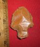 Select Aterian Early Man Point (30k - 80k Bp) Prehistoric African Artifact Neolithic & Paleolithic photo 1