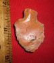 Select Aterian Early Man Point (30k - 80k Bp) Prehistoric African Artifact Neolithic & Paleolithic photo 2