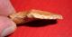 Select Aterian Early Man Point (30k - 80k Bp) Prehistoric African Artifact Neolithic & Paleolithic photo 3