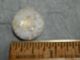 Antique Victorian China Glass Button Flowers And Gold Gilted 324 - A Buttons photo 3
