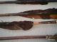 5 Arrows With Feathers,  Old Africa Other African Antiques photo 5
