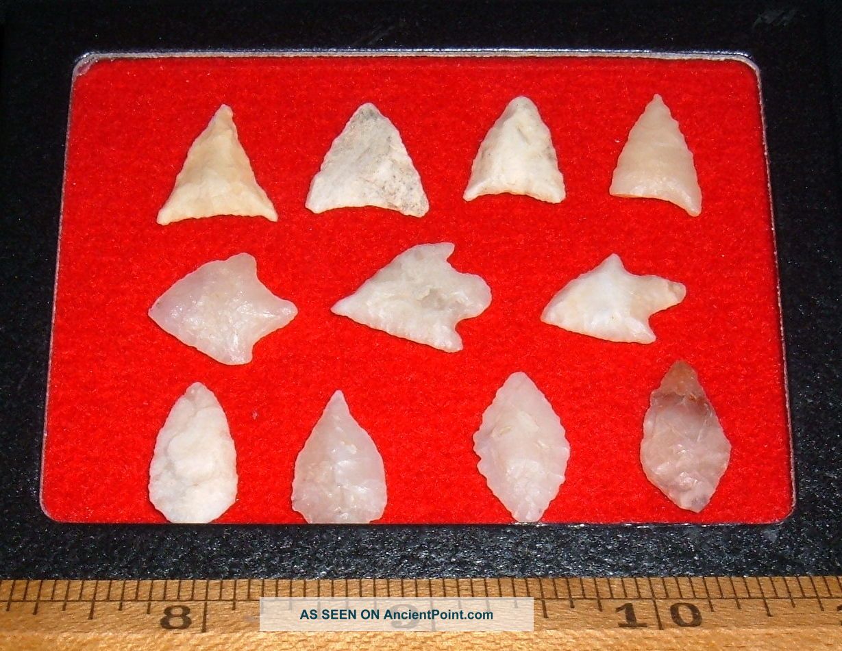(11) Select Mini Sahara Neolithic Points W/case,  Prehistoric African Arrowheads Neolithic & Paleolithic photo
