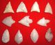 (11) Select Mini Sahara Neolithic Points W/case,  Prehistoric African Arrowheads Neolithic & Paleolithic photo 2